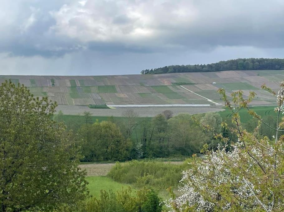 Maison D'Hotes Baslieux-sous-Chatillon Exteriér fotografie